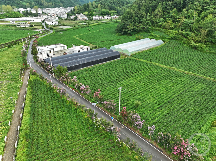 img, 摄影报道