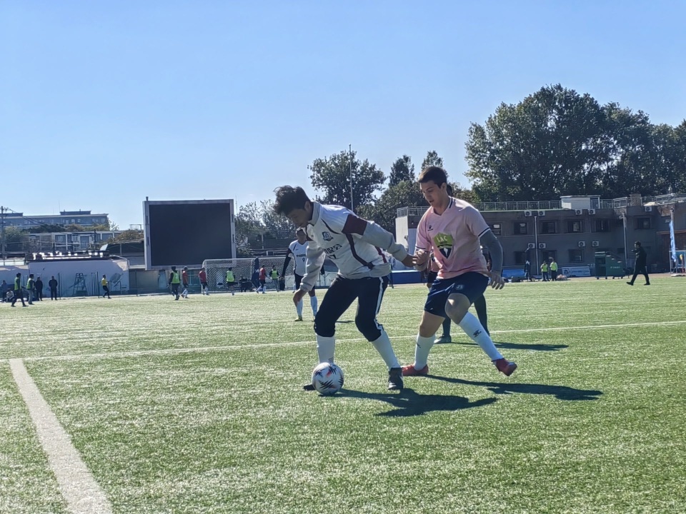 袭挡不住中, 秀说